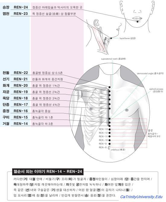 혈자리쉽게 외우는방법이에요^^ (임맥) - ☆자유게시판☆ - 데이너김
