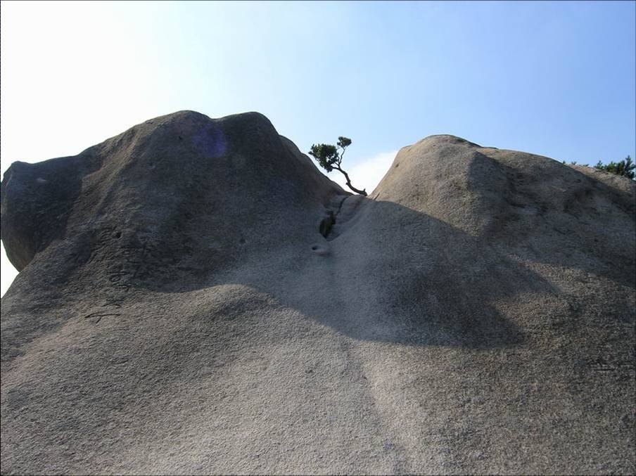 [처음이자 마지막 산행벙개] 11월 26일 토요일 도봉산 여성봉, 오봉 산행(모임장소 불광역입니다~)