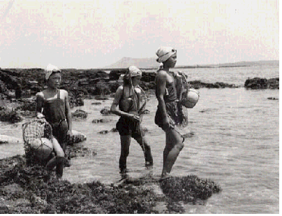 더블클릭을 하시면 이미지를 수정할 수 있습니다