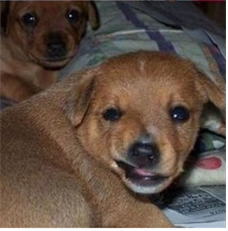 더블클릭을 하시면 이미지를 수정할 수 있습니다