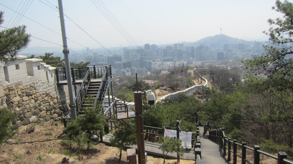 개나리와 벚꽃 장관을 이루는 인왕사 선바위 주변과 안산자락길＜1＞