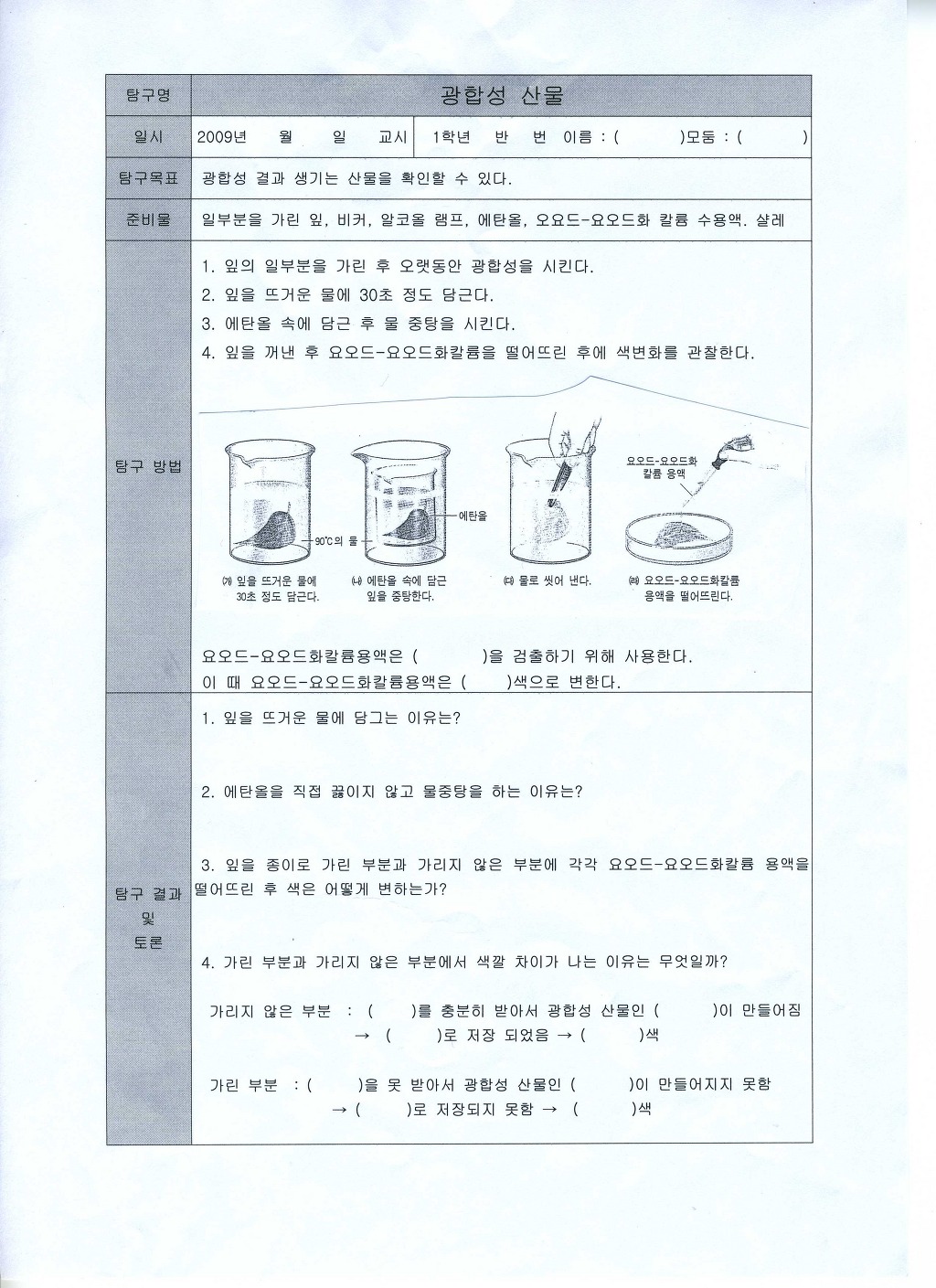 광합성 실험(잎의 녹말 검출, BTB 용액의 색 변화) - 실험자료 - 전남 중등 생물교육 연구회