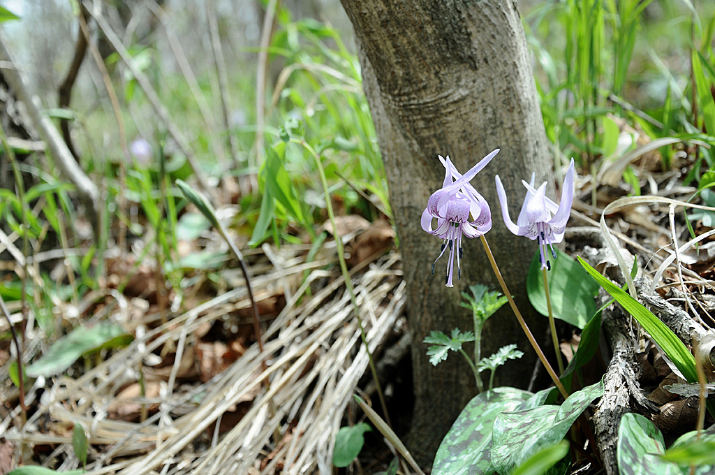 더블클릭을 하시면 이미지를 수정할 수 있습니다