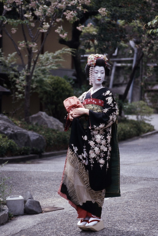 일본 게이샤의 세계