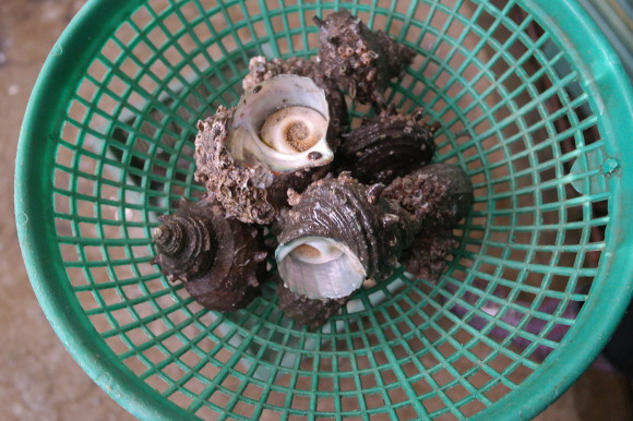 더블클릭을 하시면 이미지를 수정할 수 있습니다