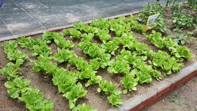 더블클릭을 하시면 이미지를 수정할 수 있습니다