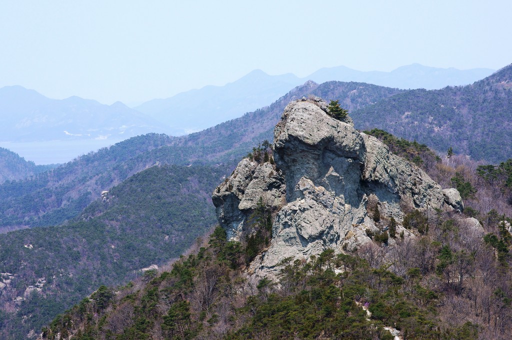 선운산 (2013. 4. 13)