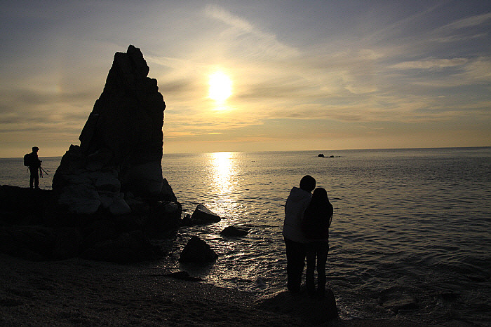 을왕리선녀바위의 락조