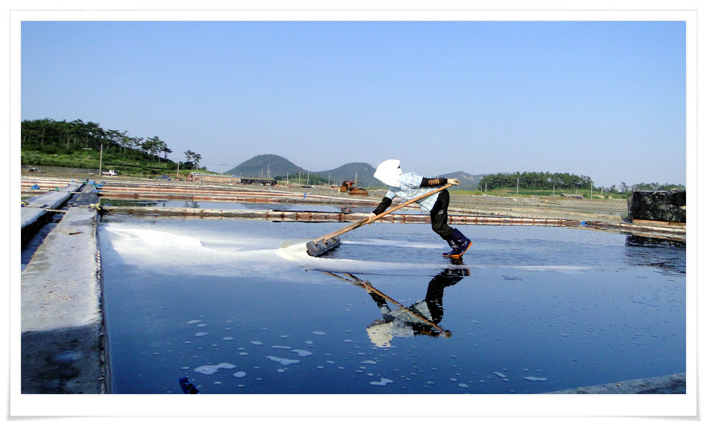 [│사진여행│] 고 김대중 생가 하의도 진도씻김굿 (퍼온글 입니다)