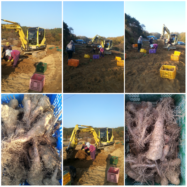 더블클릭을 하시면 이미지를 수정할 수 있습니다