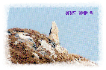 섬마을 탐구활동-횡경도(43전하은)