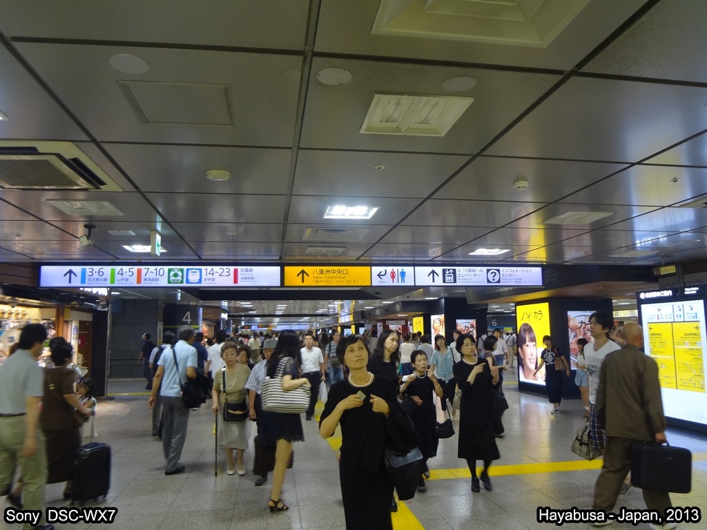 9] [Roller Coaster, 2013] (2013.9.14-1일차) [2부: 극과 극의 날씨와 함께한, 시코쿠와의 돌발만남] -  3편: 잠깐의 만남, 그리고 이별 1 - 하야부사의 Roller Coaster, 2013 - 일본철도연구회