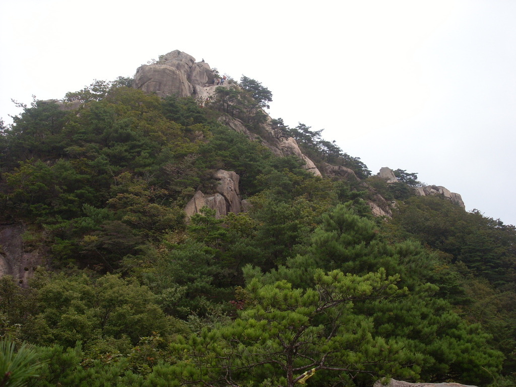 더블클릭을 하시면 이미지를 수정할 수 있습니다