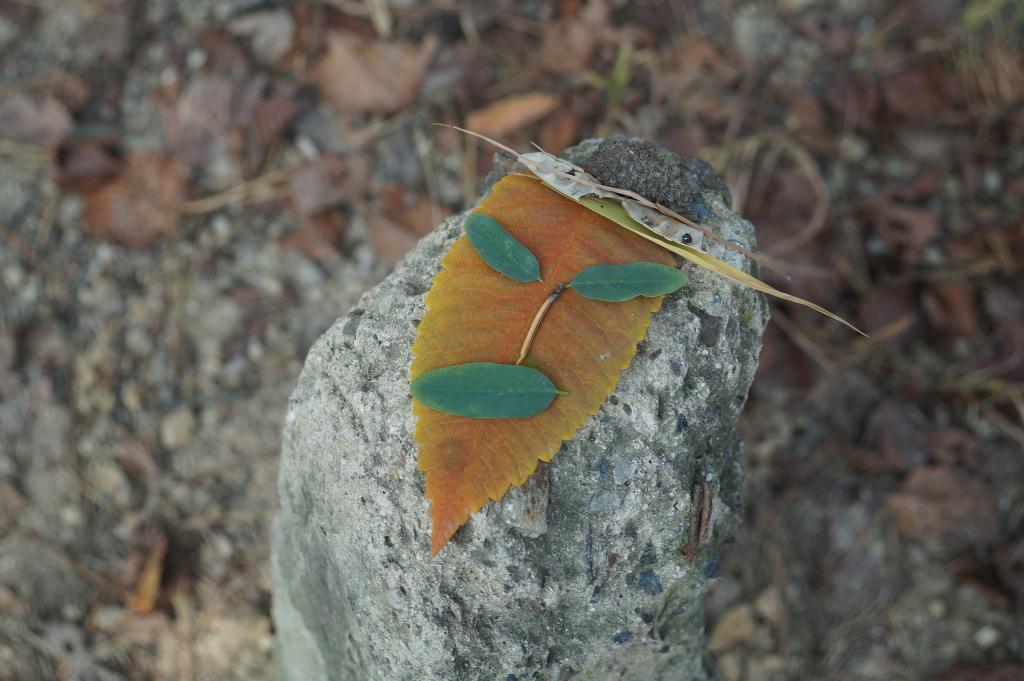 더블클릭을 하시면 이미지를 수정할 수 있습니다