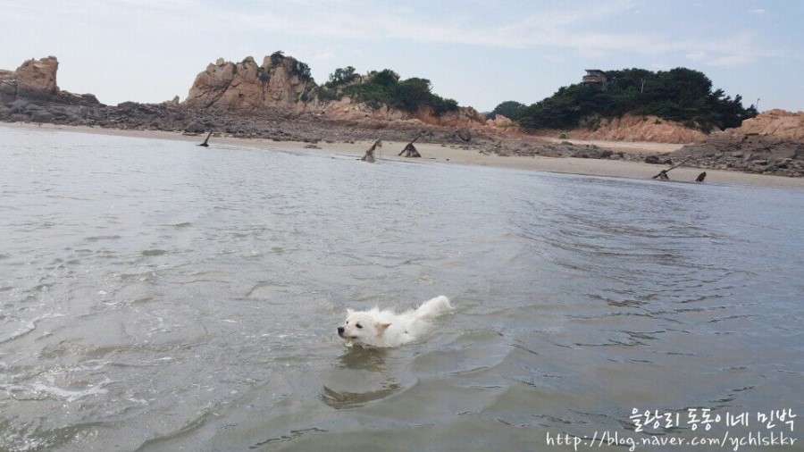 더블클릭을 하시면 이미지를 수정할 수 있습니다