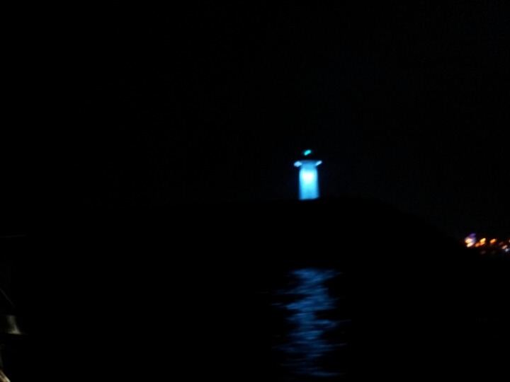 십이동파도의 광어