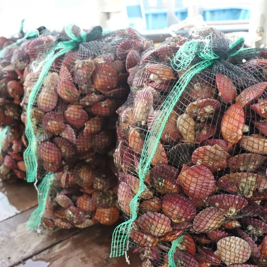 9958783C5C51C428212F3A