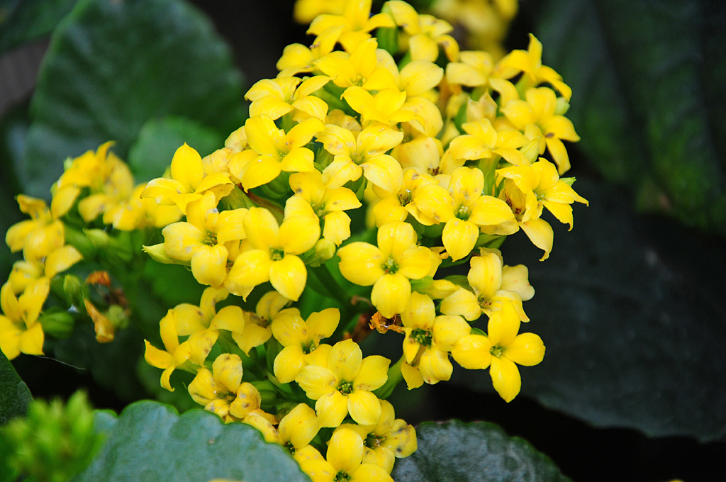 더블클릭을 하시면 이미지를 수정할 수 있습니다