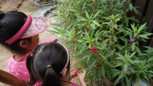 더블클릭을 하시면 이미지를 수정할 수 있습니다