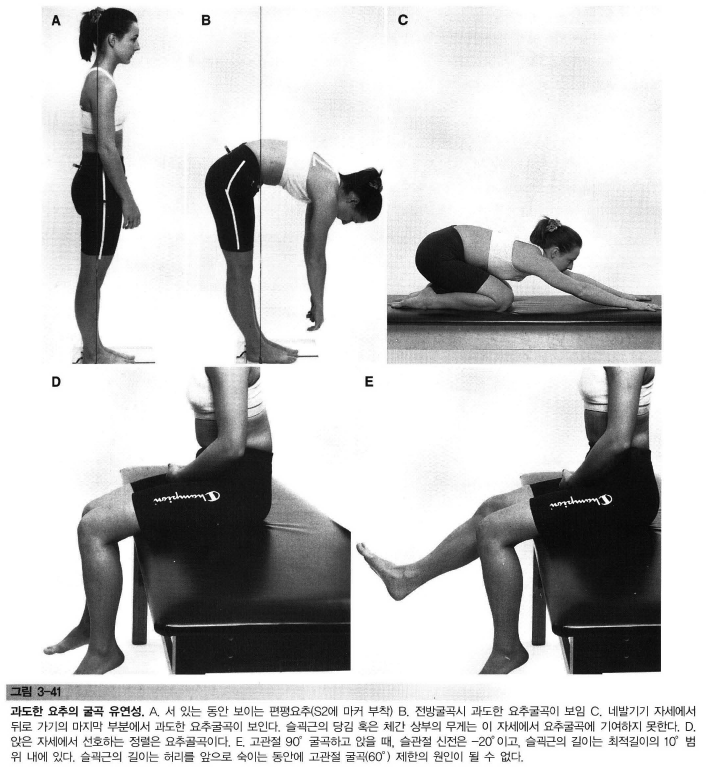 mis-12 요추 회전 굴곡 증후군 - 원리를 찾아서 - 건강한 물리치료사