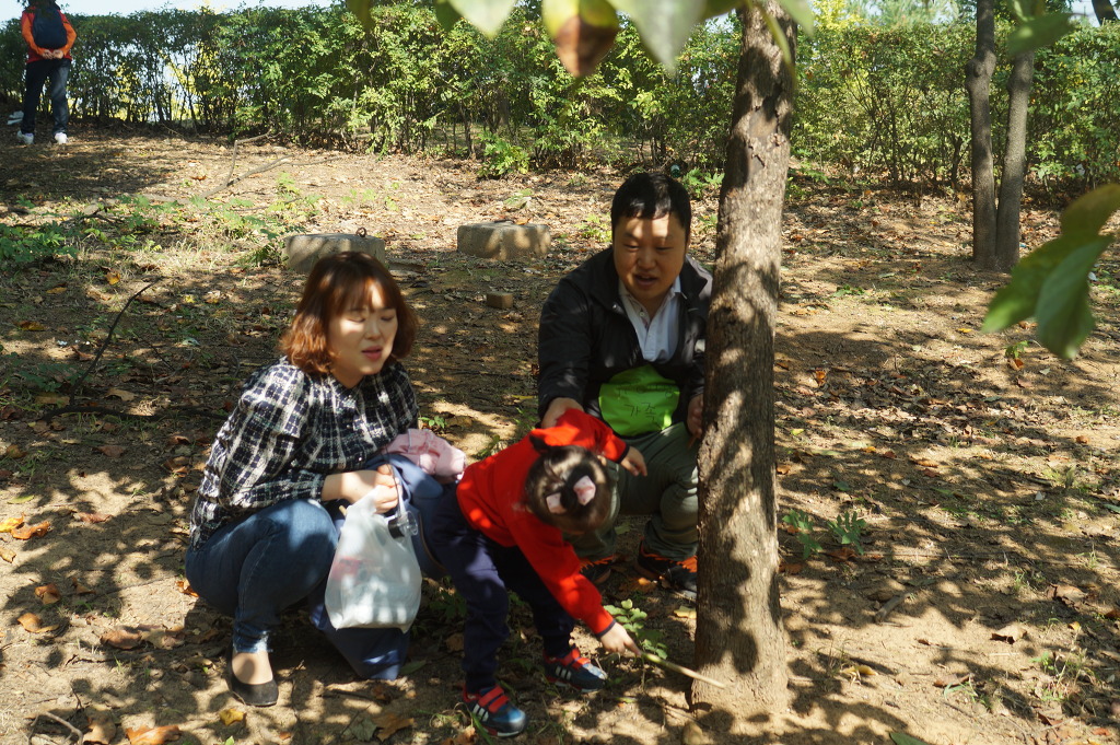 더블클릭을 하시면 이미지를 수정할 수 있습니다