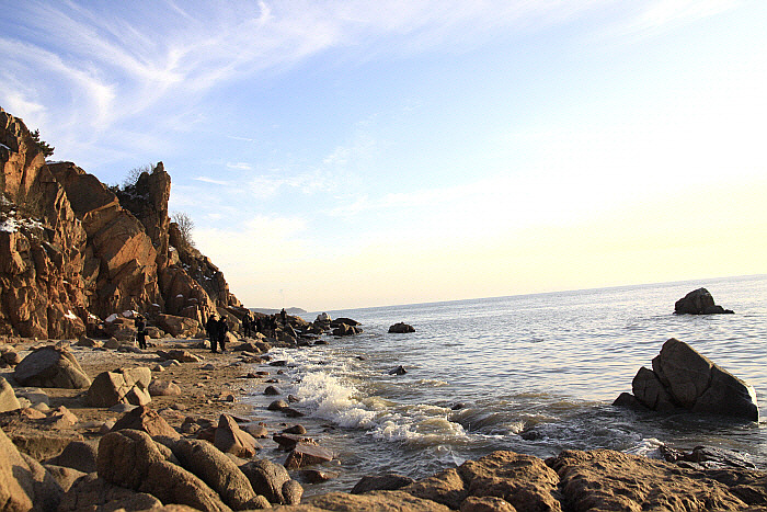 을왕리선녀바위의 락조