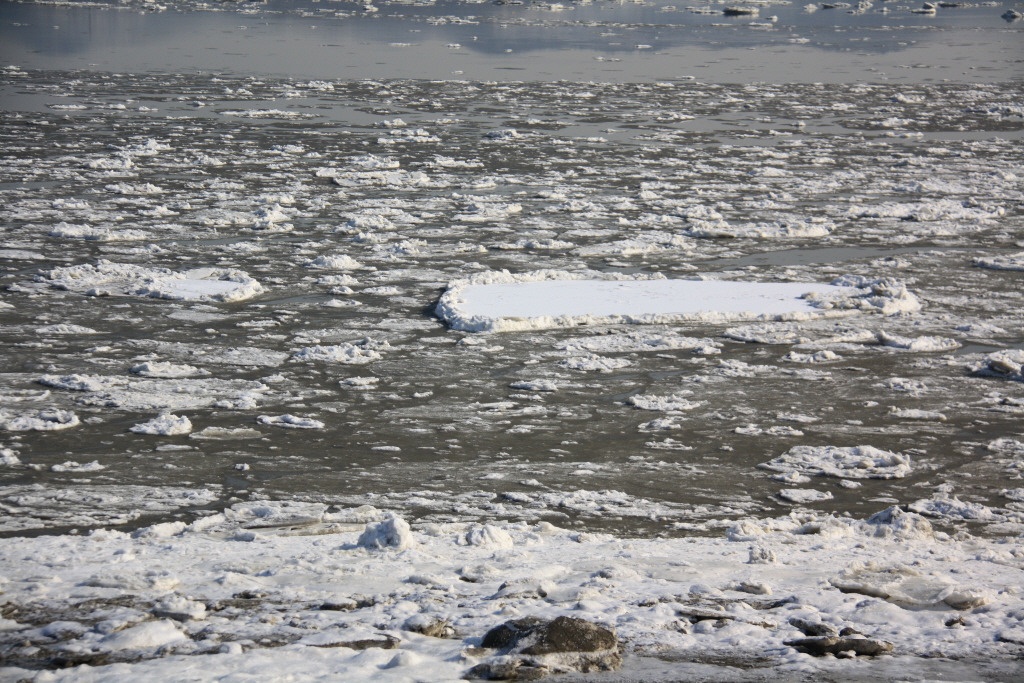 얼음 얼은 한강하구 및 강화해협