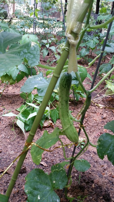 더블클릭을 하시면 이미지를 수정할 수 있습니다