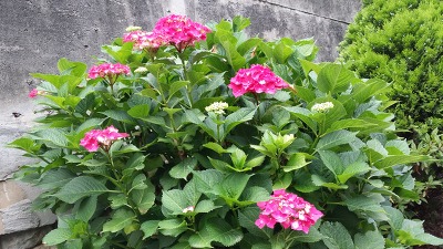 더블클릭을 하시면 이미지를 수정할 수 있습니다