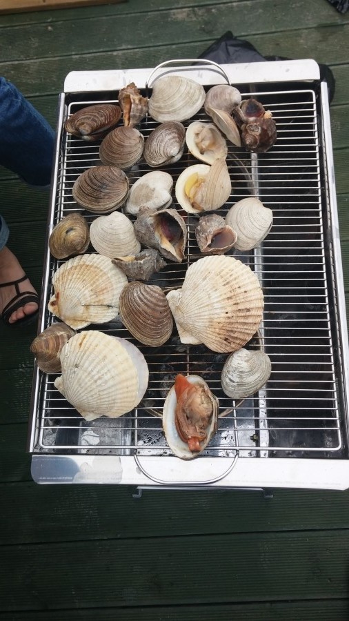 더블클릭을 하시면 이미지를 수정할 수 있습니다