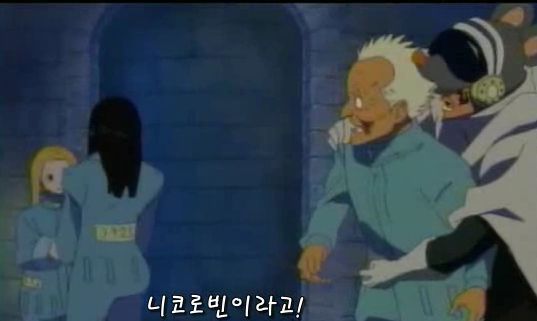 루피의 동료 니코로빈은 2년동안 무엇을 했을까 연구 입문방 원피스홀릭