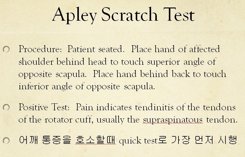 어깨 통증이 있다면 제일 먼저 apley's scratch test - 특수 이학적 검사법 - 치료적 맞춤운동, 비타미네, 영성 연구소