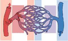 더블클릭을 하시면 이미지를 수정할 수 있습니다