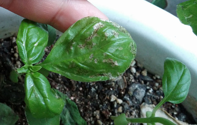 더블클릭을 하시면 이미지를 수정할 수 있습니다