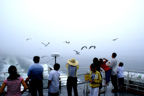 [모집중] 제115차 `낭만이 있는 섬여행` 환상의 모래섬 "사승봉도+승봉도", 서해의 신기루 "대이작도 풀등+고기잡이체험"