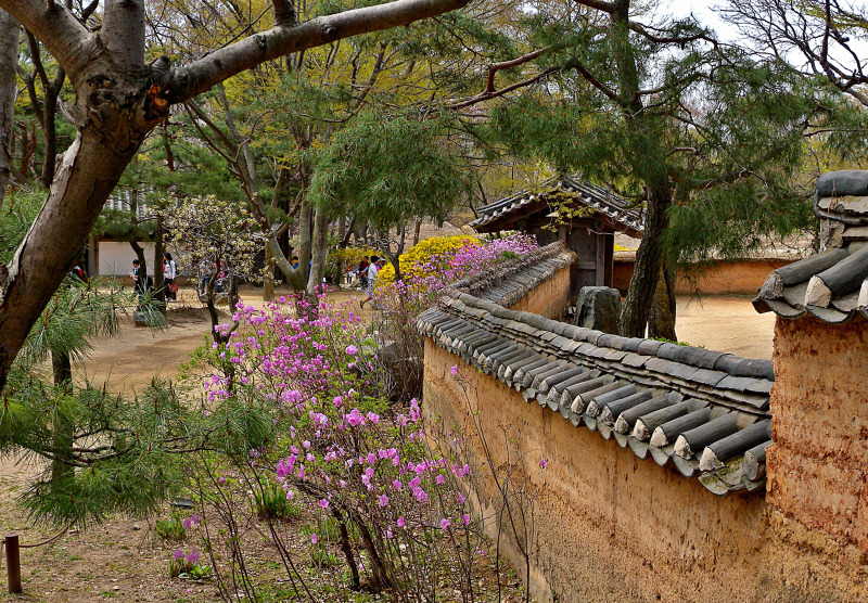 용인 민속촌의 봄 풍경..!!