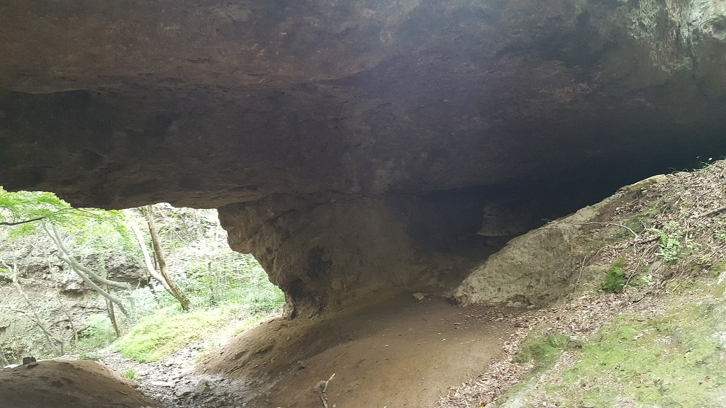 전북 고창 선운산 천마봉(284m) & 꽃무릇..2016.9.21(수)