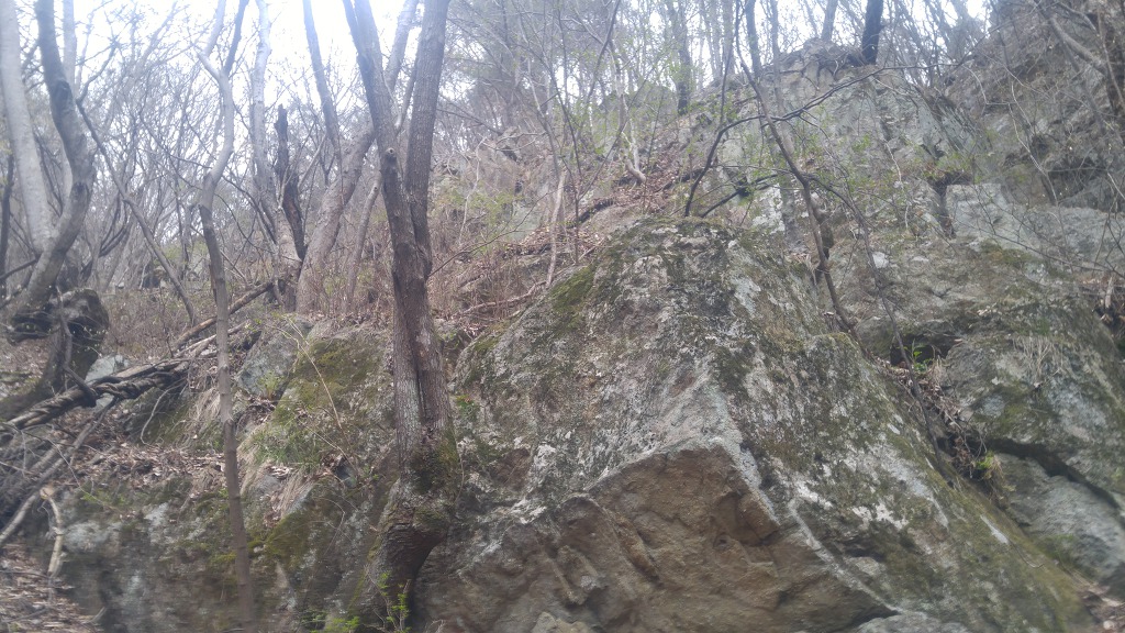 더블클릭을 하시면 이미지를 수정할 수 있습니다