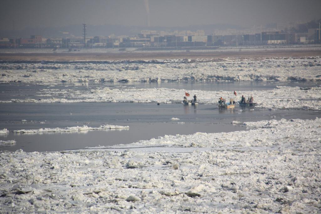 얼음 얼은 한강하구 및 강화해협