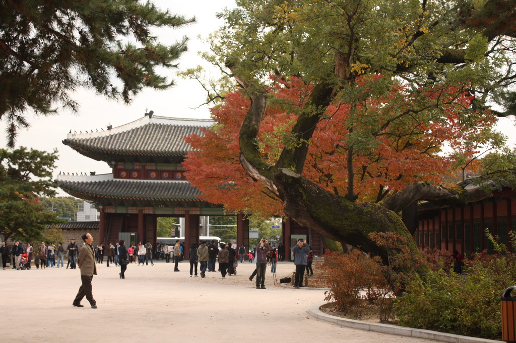 창덕궁(낙선제)