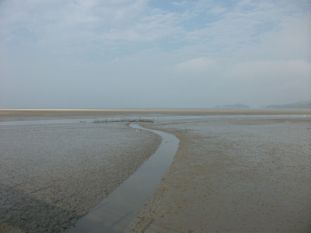 신안군 증도 보물섬