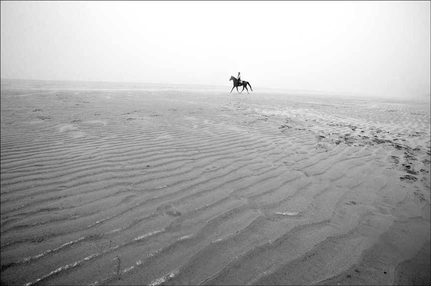 신안군 임자도에서 승마대회