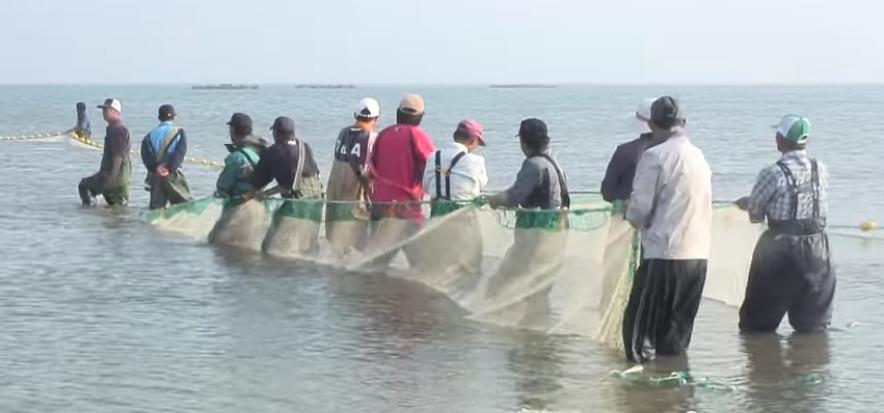 백령도에서 만난 전통 고기잡이 대후리 어법