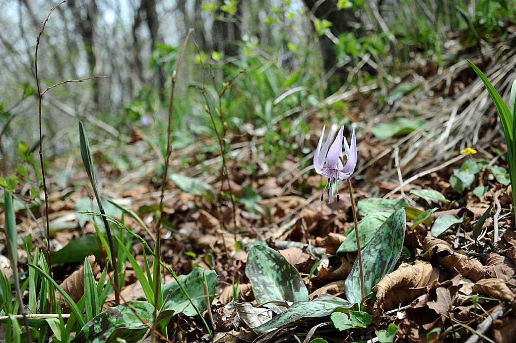 더블클릭을 하시면 이미지를 수정할 수 있습니다