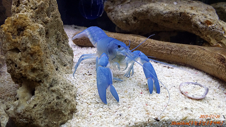 더블클릭을 하시면 이미지를 수정할 수 있습니다