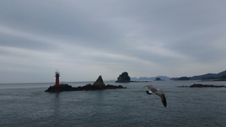 덕적도.소야도 출장 마무리후