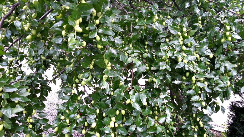 ☆~2014.8.30.백화사입구-백화사계곡