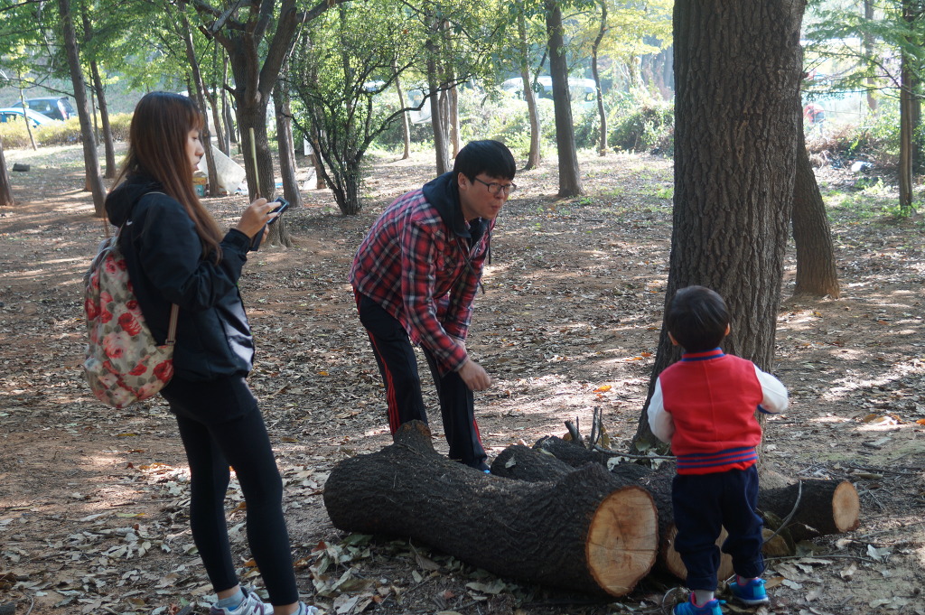 더블클릭을 하시면 이미지를 수정할 수 있습니다