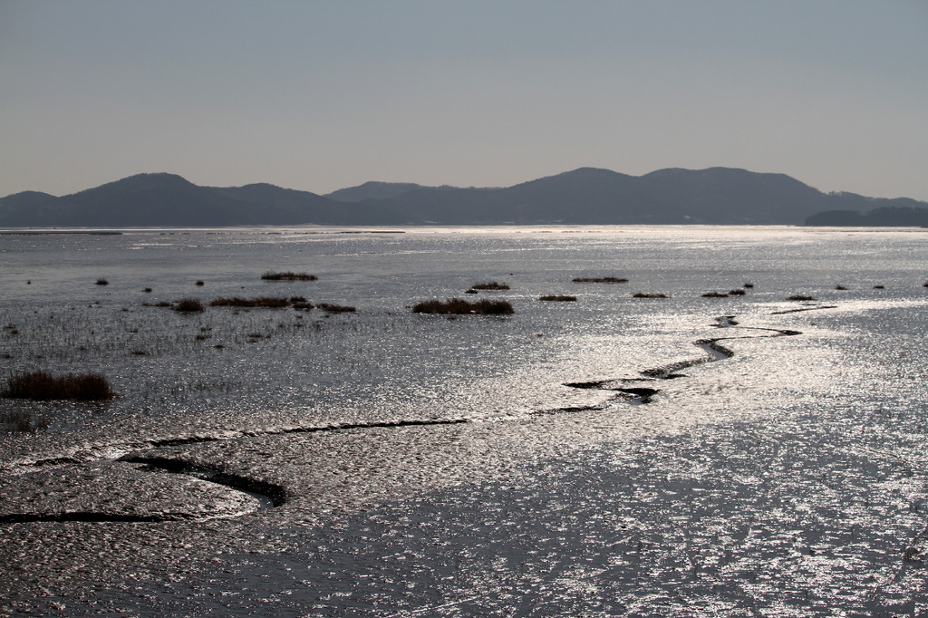 서풍이 불었어요-갯벌보러 가는길20 (염하가람님,17.2.1.)