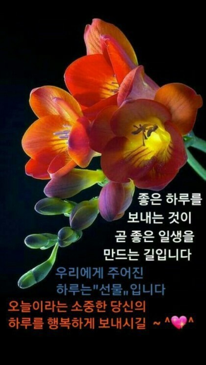 목요일 아침인사